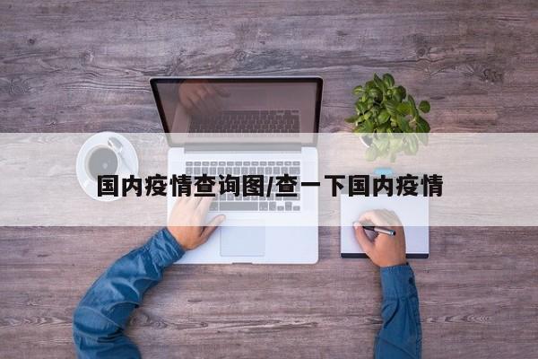 国内疫情查询图/查一下国内疫情