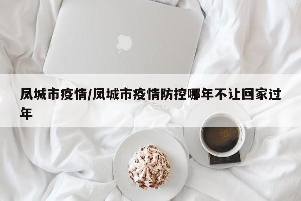 凤城市疫情/凤城市疫情防控哪年不让回家过年