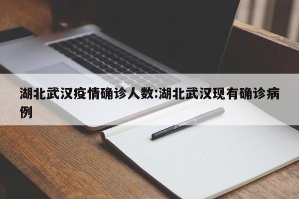 湖北武汉疫情确诊人数:湖北武汉现有确诊病例