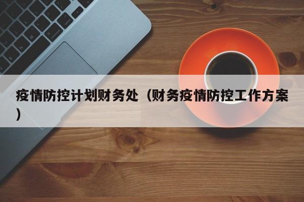 疫情防控计划财务处（财务疫情防控工作方案）