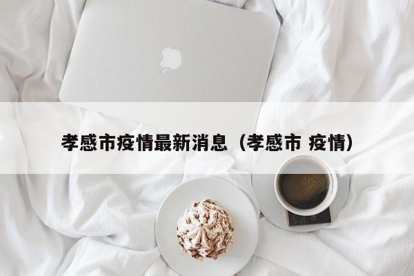 孝感市疫情最新消息（孝感市 疫情）