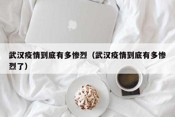 武汉疫情到底有多惨烈（武汉疫情到底有多惨烈了）