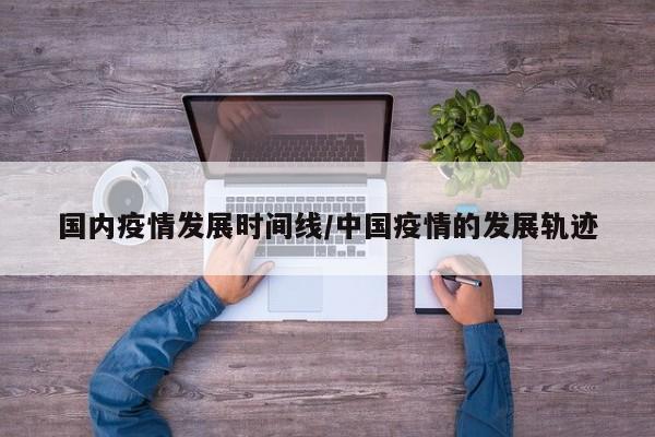 国内疫情发展时间线/中国疫情的发展轨迹