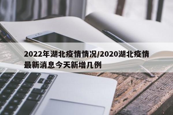 2022年湖北疫情情况/2020湖北疫情最新消息今天新增几例
