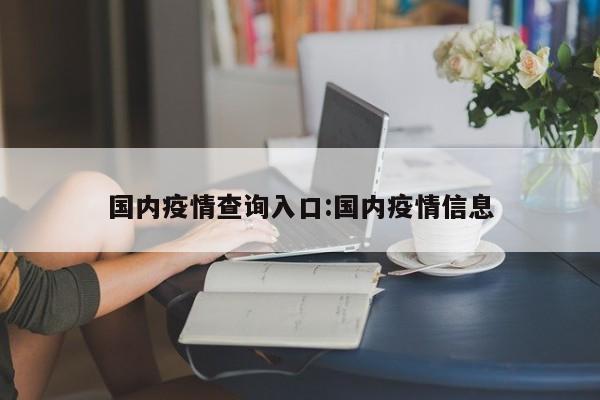 国内疫情查询入口:国内疫情信息